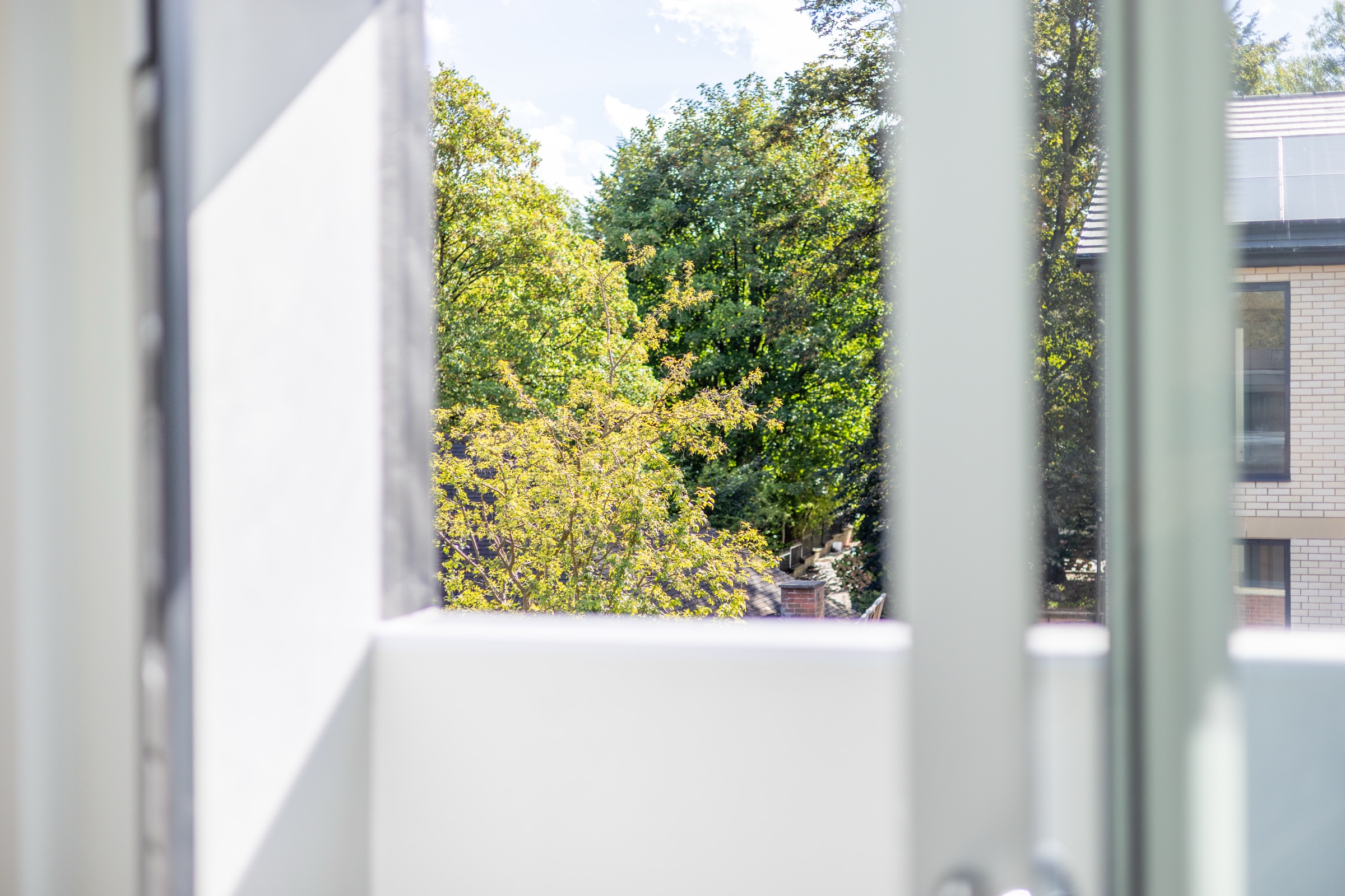 Tree-lined views